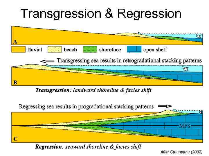 Transgression & Regression 
