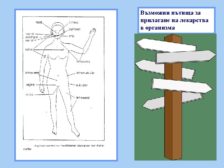 Възможни пътища за прилагане на лекарства в организма 