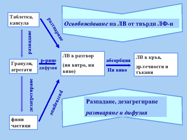 р-ряне дифузия (ин витро, ин виво) в раз т разпадане дезагрегиране не ря ЛВ