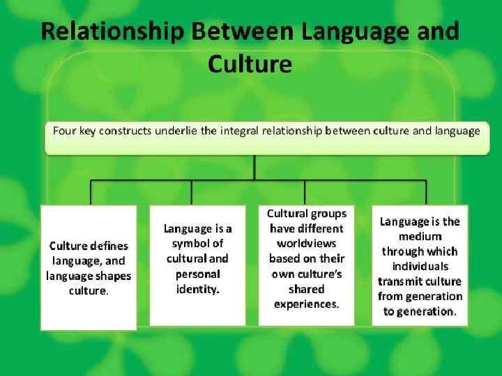 relationship between language and culture essay