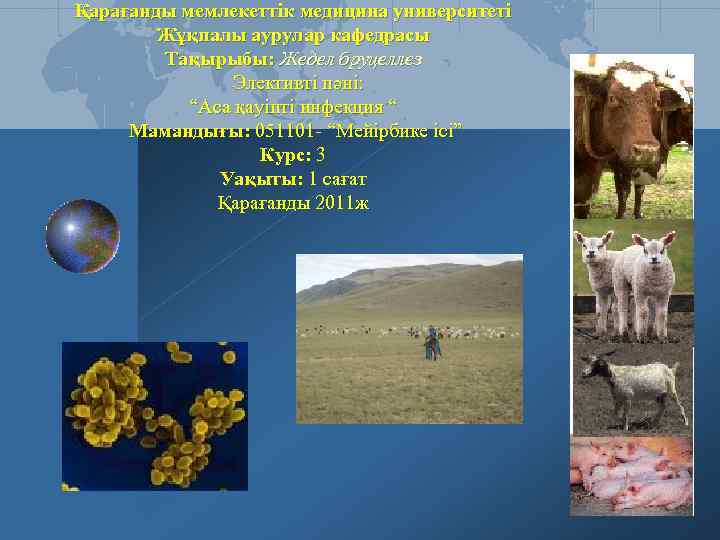 Қарағанды мемлекеттік медицина университеті Жұқпалы аурулар кафедрасы Тақырыбы: Жедел бруцеллез Элективті пәні: “Аса қауіпті