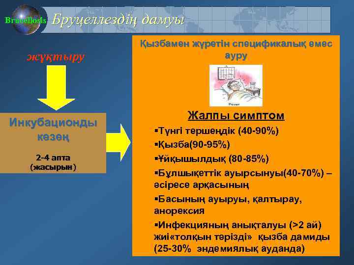 Brucellosis Бруцеллездің дамуы жұқтыру Қызбамен жүретін спецификалық емес ауру Инкубационды кезең 2 -4 апта