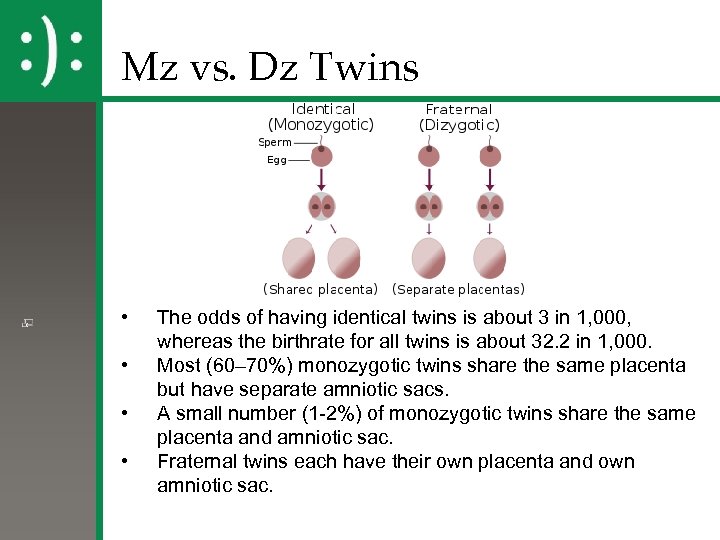 Mz vs. Dz Twins • • The odds of having identical twins is about