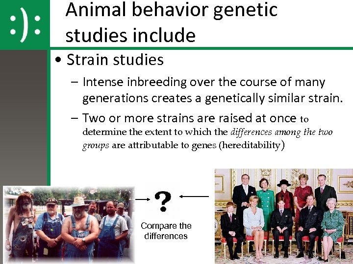 Animal behavior genetic studies include • Strain studies – Intense inbreeding over the course