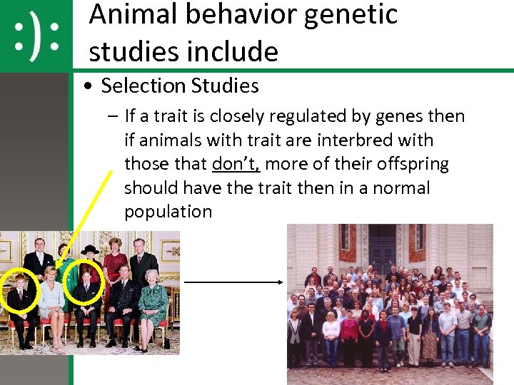 Animal behavior genetic studies include • Selection Studies – If a trait is closely