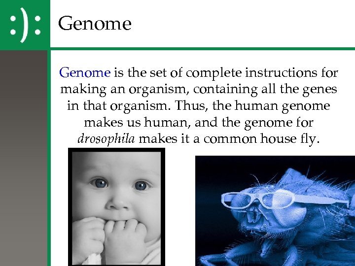 Genome is the set of complete instructions for making an organism, containing all the