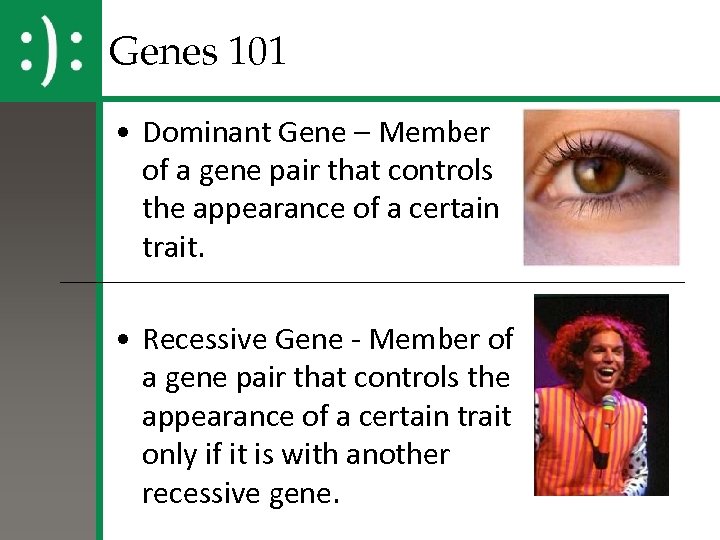 Genes 101 • Dominant Gene – Member of a gene pair that controls the