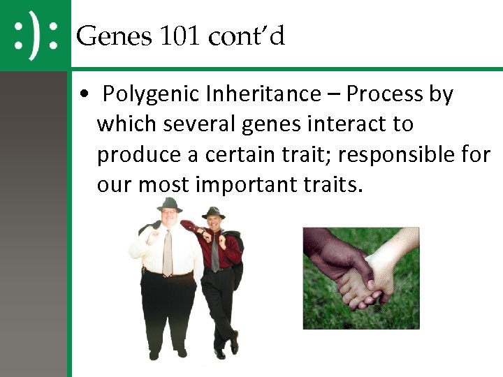 Genes 101 cont’d • Polygenic Inheritance – Process by which several genes interact to