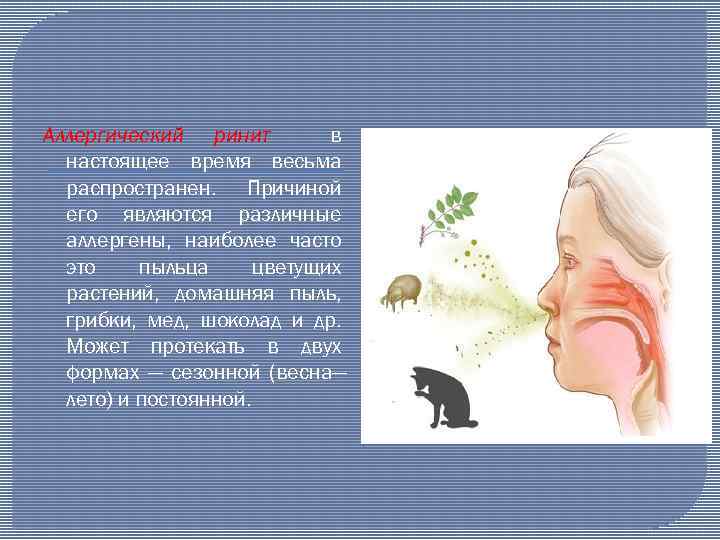 Аллергический ринит в настоящее время весьма распространен. Причиной его являются различные аллергены, наиболее часто