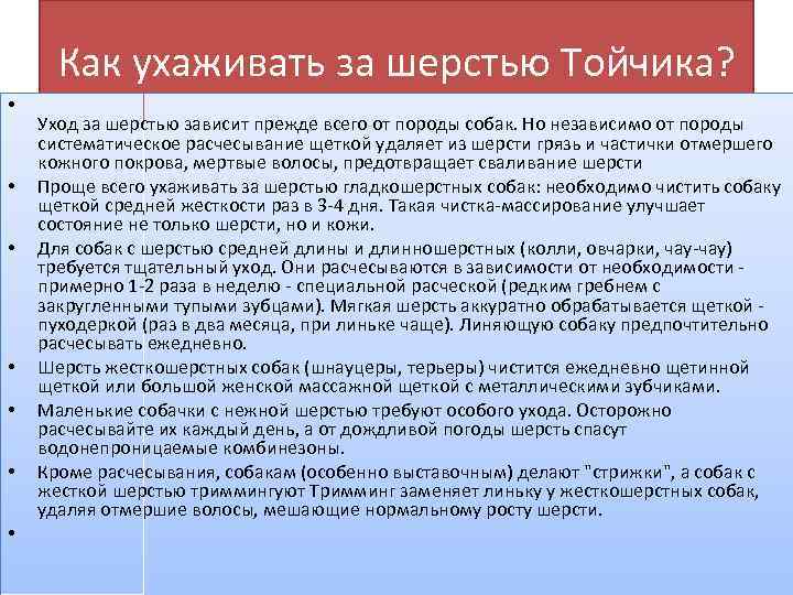 Как ухаживать за шерстью Тойчика? • • Уход за шерстью зависит прежде всего от