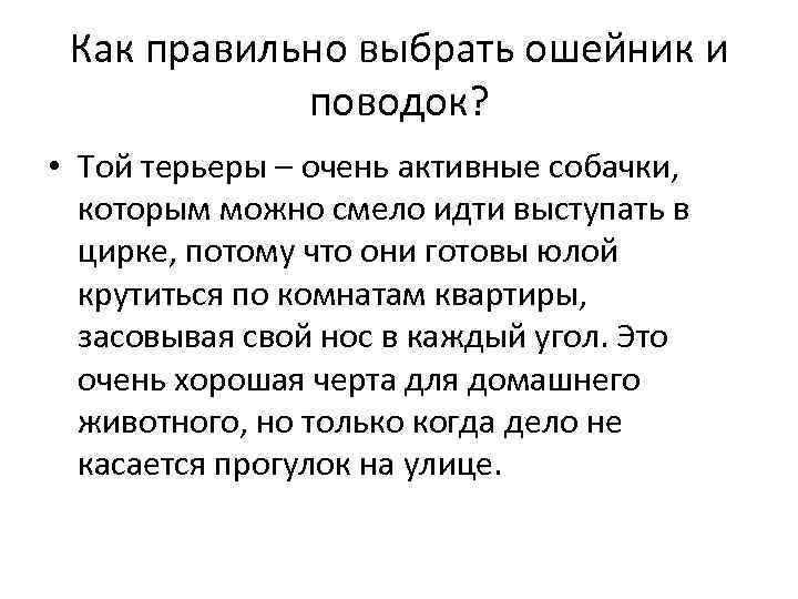 Как правильно выбрать ошейник и поводок? • Той терьеры – очень активные собачки, которым