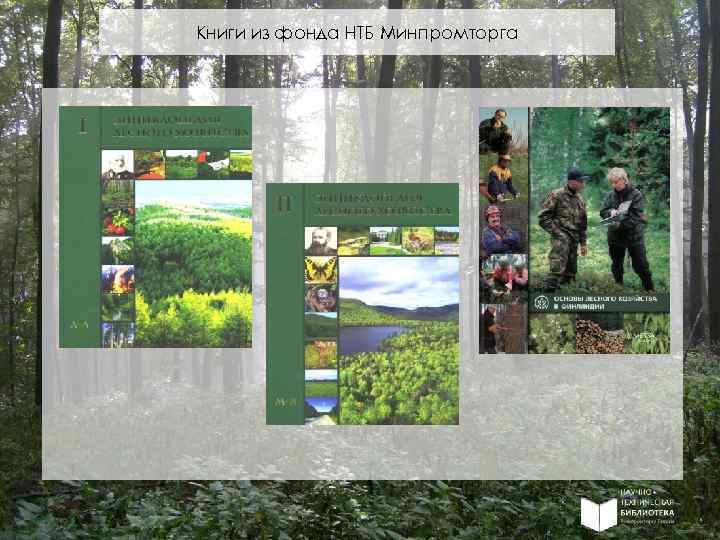 Книги из фонда НТБ Минпромторга 