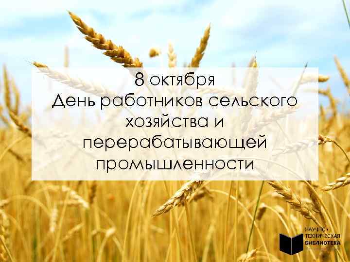 8 октября День работников сельского хозяйства и перерабатывающей промышленности 