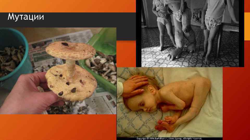 Мутации 