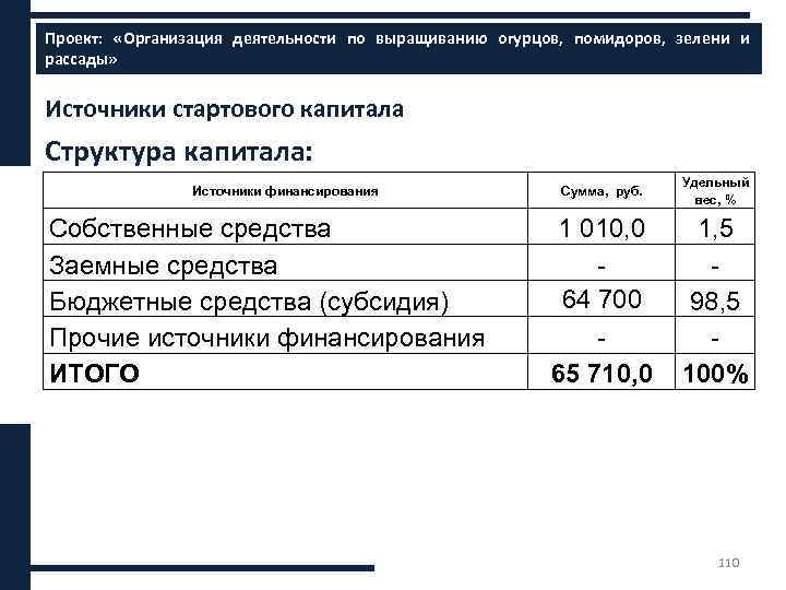 Проект: «Организация деятельности по выращиванию огурцов, помидоров, зелени и Финансовое планирование ххххх рассады» Источники