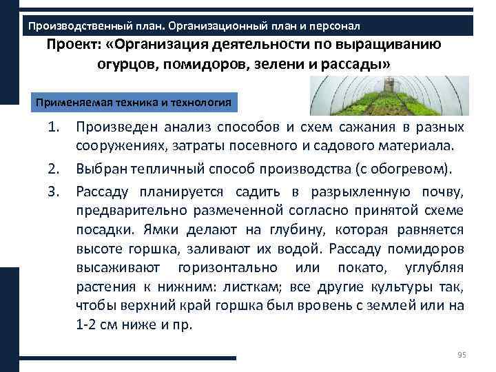 Производственный план. Организационный план и персонал Проект: «Организация деятельности по выращиванию огурцов, помидоров, зелени