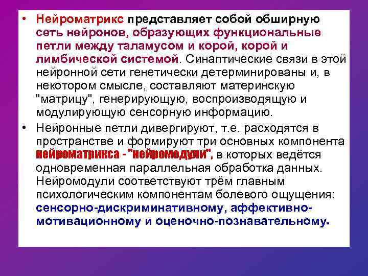  • Нейроматрикс представляет собой обширную сеть нейронов, образующих функциональные петли между таламусом и