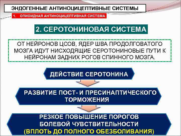 ЭНДОГЕННЫЕ АНТИНОЦИЦЕПТИВНЫЕ СИСТЕМЫ 1. ОПИОИДНАЯ АНТИНОЦИЦЕПТИВНАЯ СИСТЕМА 2. СЕРОТОНИНОВАЯ СИСТЕМА ОТ НЕЙРОНОВ ЦСОВ, ЯДЕР