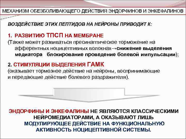 МЕХАНИЗМ ОБЕЗБОЛИВАЮЩЕГО ДЕЙСТВИЯ ЭНДОРФИНОВ И ЭНКЕФАЛИНОВ ВОЗДЕЙСТВИЕ ЭТИХ ПЕПТИДОВ НА НЕЙРОНЫ ПРИВОДИТ К: 1.