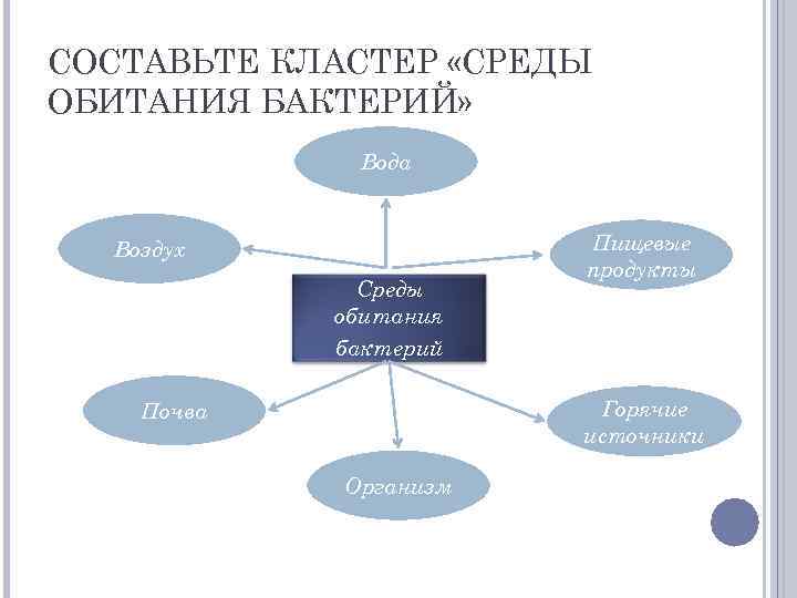 СОСТАВЬТЕ КЛАСТЕР «СРЕДЫ ОБИТАНИЯ БАКТЕРИЙ» Вода Воздух Среды обитания бактерий Пищевые продукты Горячие источники