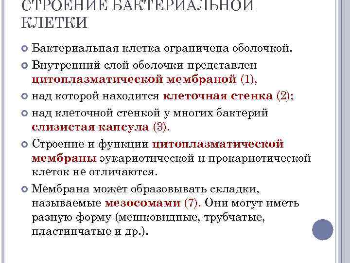 СТРОЕНИЕ БАКТЕРИАЛЬНОЙ КЛЕТКИ Бактериальная клетка ограничена оболочкой. Внутренний слой оболочки представлен цитоплазматической мембраной (1),