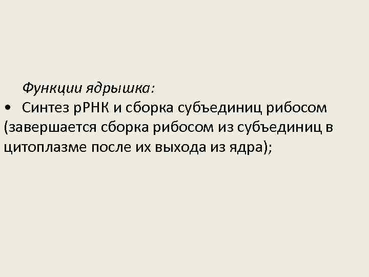 Функции ядрышка: • Синтез р. РНК и сборка субъединиц рибосом (завершается сборка рибосом из