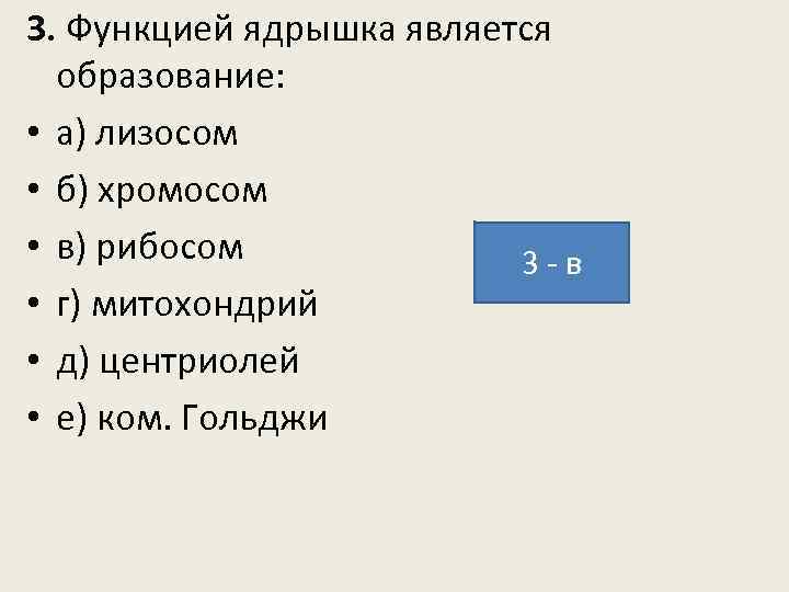 3. Функцией ядрышка является образование: • а) лизосом • б) хромосом • в) рибосом