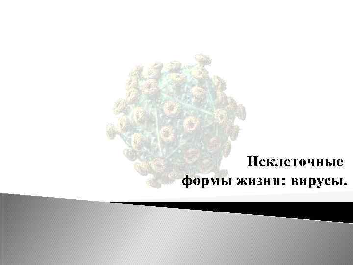 Неклеточные формы жизни: вирусы. 
