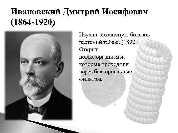 Ивановский Дмитрий Иосифович (1864 -1920) Изучал мозаичную болезнь растений табака (1892 г. ). Открыл
