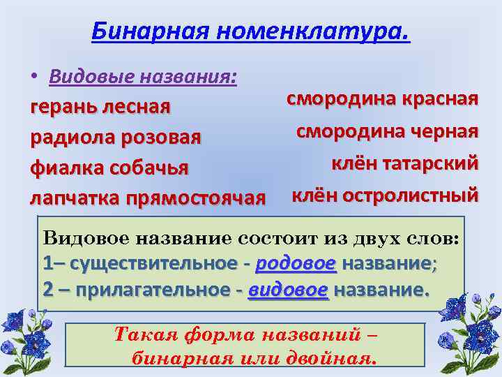 Бинарная номенклатура. • Видовые названия: смородина красная герань лесная смородина черная радиола розовая клён