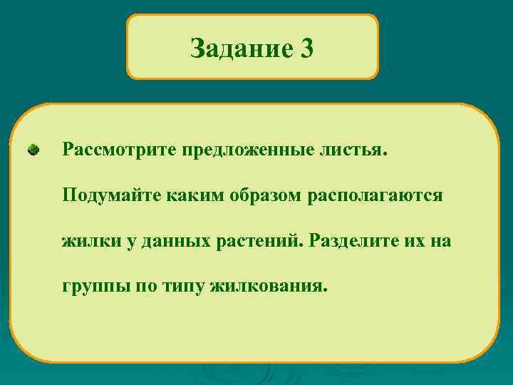 Задание 3 Рассмотрите предложенные листья. Подумайте каким образом располагаются жилки у данных растений. Разделите