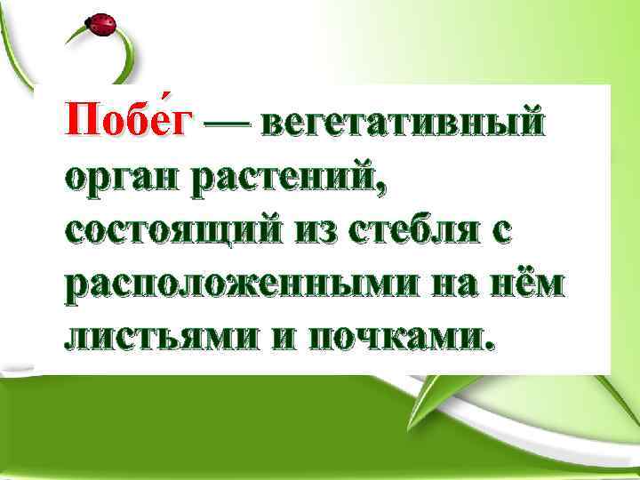 Побе г — вегетативный орган растений, состоящий из стебля с расположенными на нём листьями