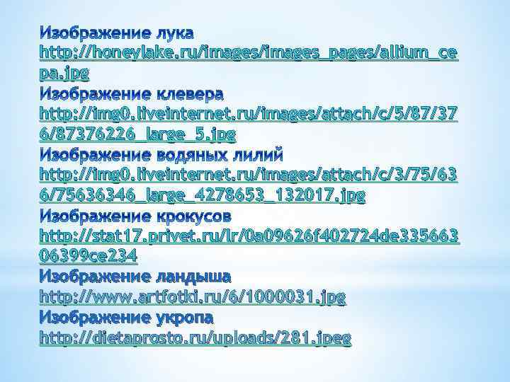 Изображение лука http: //honeylake. ru/images_pages/allium_ce pa. jpg Изображение клевера http: //img 0. liveinternet. ru/images/attach/c/5/87/37