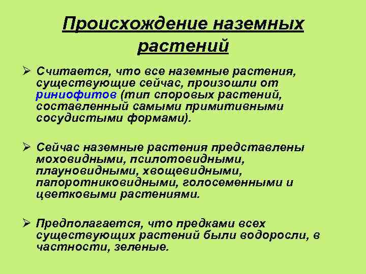 Происхождение наземных растений Ø Считается, что все наземные растения, существующие сейчас, произошли от риниофитов