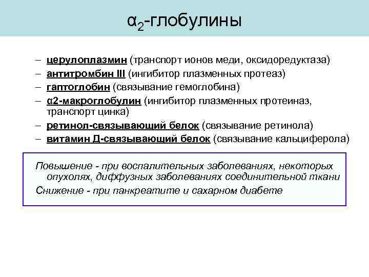 α 2 -глобулины – – церулоплазмин (транспорт ионов меди, оксидоредуктаза) антитромбин III (ингибитор плазменных