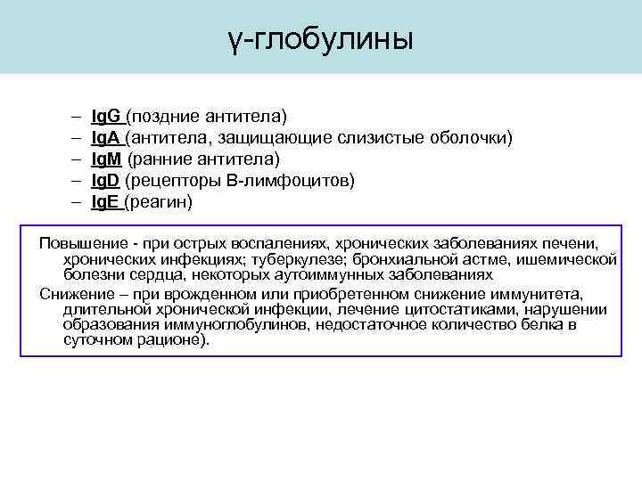 γ-глобулины – – – Ig. G (поздние антитела) Ig. А (антитела, защищающие слизистые оболочки)