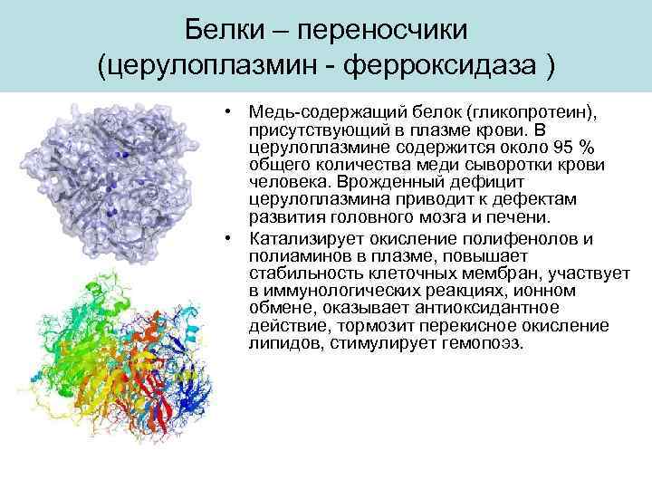 Белки – переносчики (церулоплазмин - ферроксидаза ) • Медь-содержащий белок (гликопротеин), присутствующий в плазме