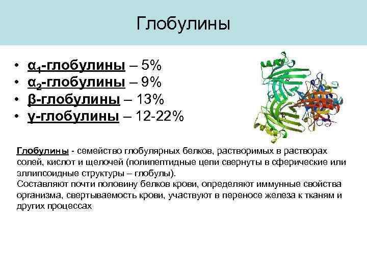 Глобулины • • α 1 -глобулины – 5% α 2 -глобулины – 9% β-глобулины