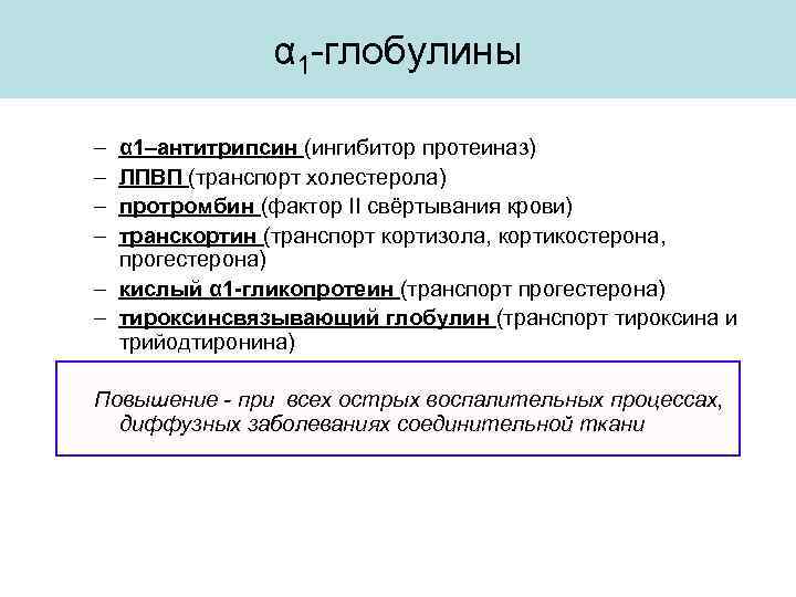 α 1 -глобулины – – α 1–антитрипсин (ингибитор протеиназ) ЛПВП (транспорт холестерола) протромбин (фактор