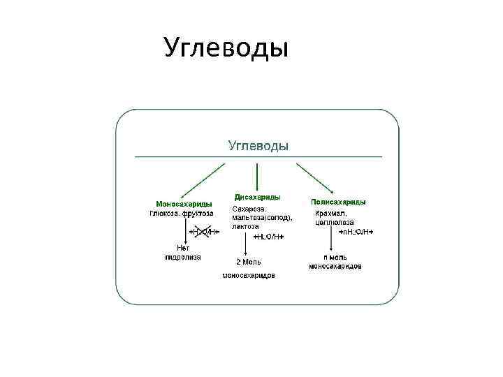 Углеводы 