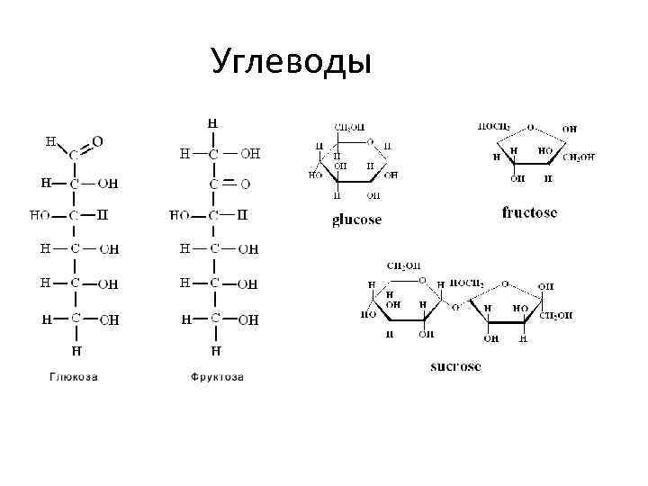 Углеводы 