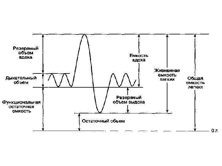 Дыхательные объемы картинка