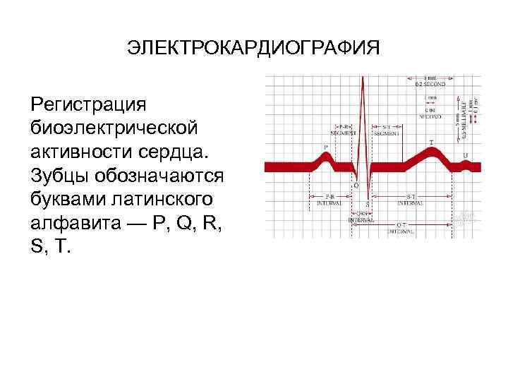 ЭЛЕКТРОКАРДИОГРАФИЯ Регистрация биоэлектрической активности сердца. Зубцы обозначаются буквами латинского алфавита — P, Q, R,
