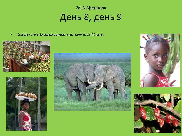 26, 27 февраля День 8, день 9 • Завтрак в отеле. Возвращаемся маленьким самолетом