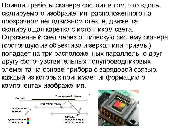 Принцип работы сканера состоит в том, что вдоль сканируемого изображения, расположенного на прозрачном неподвижном