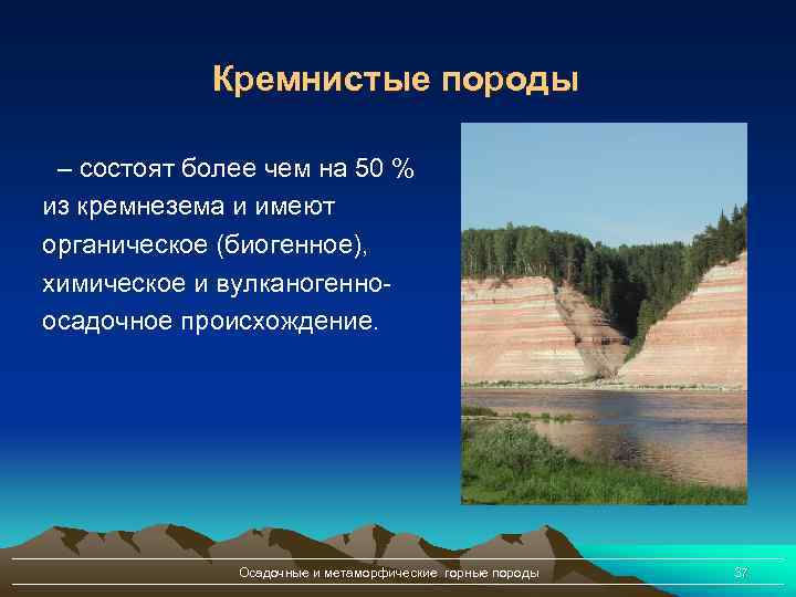 Кремнистые породы – состоят более чем на 50 % из кремнезема и имеют органическое