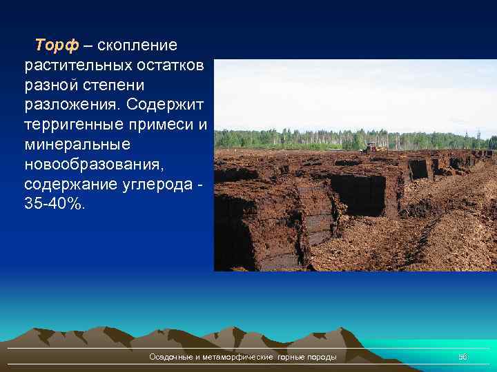 Торф – скопление растительных остатков разной степени разложения. Содержит терригенные примеси и минеральные новообразования,