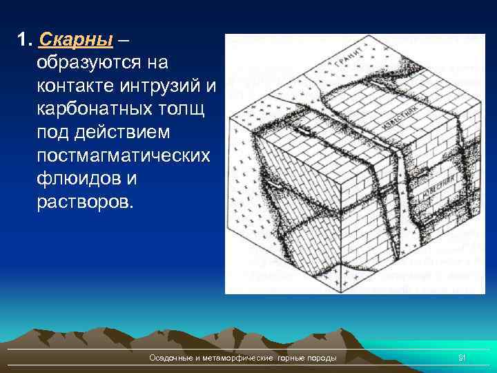 1. Скарны – образуются на контакте интрузий и карбонатных толщ под действием постмагматических флюидов