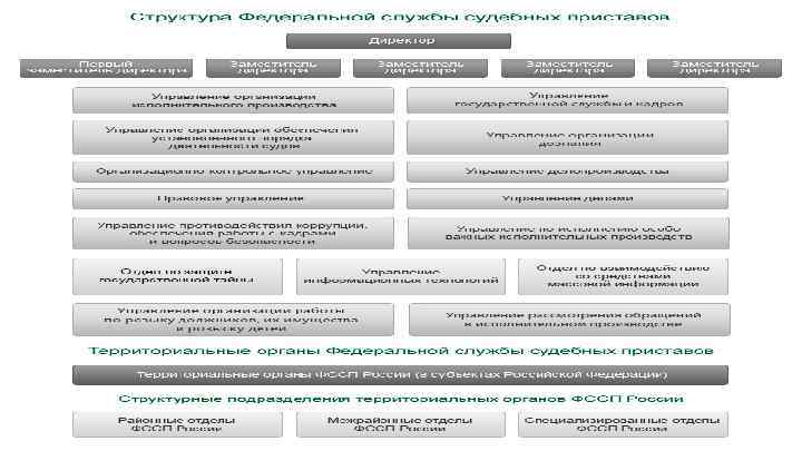 Структура фссп рф схема