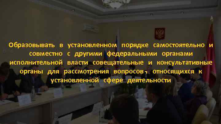 Образовывать в установленном порядке самостоятельно и совместно с другими федеральными органами исполнительной власти совещательные